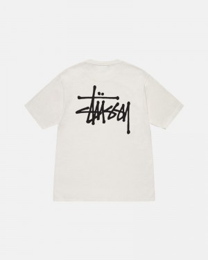 Tops Stussy BASIC PIGMENT DYED Unisex Beige | OUMC-70428