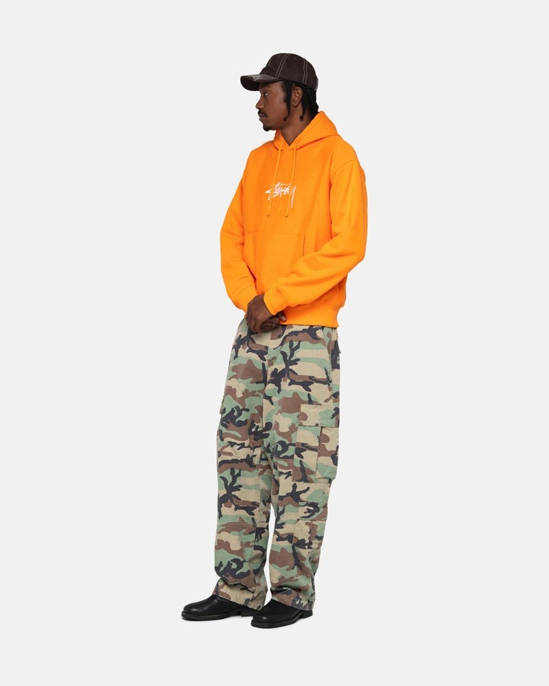 Pantalones Stussy SURPLUS CARGO RIPSTOP Unisex Camuflados | ANKC-90583