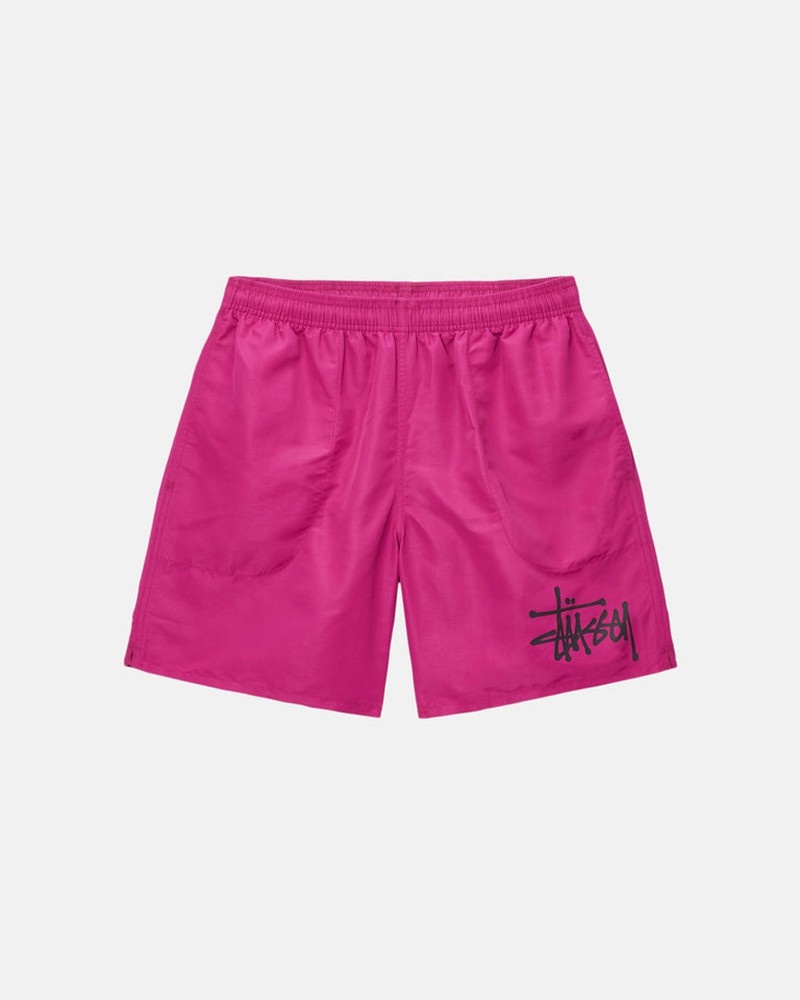 Pantalones Stussy WATER SHORT BIG BASIC Unisex Morados | NUVC-04563