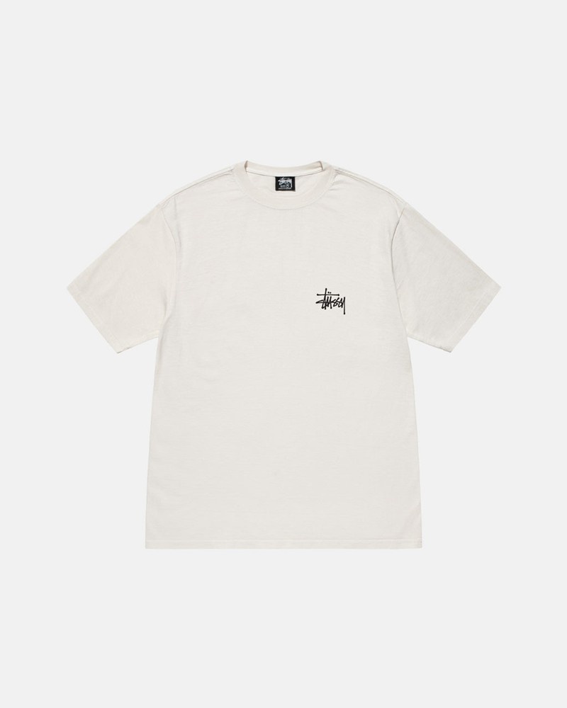 Tops Stussy BASIC PIGMENT DYED Unisex Beige | OUMC-70428