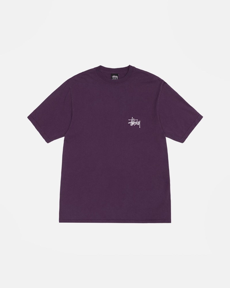 Tops Stussy BASIC PIGMENT DYED Unisex Morados | HRDG-86347