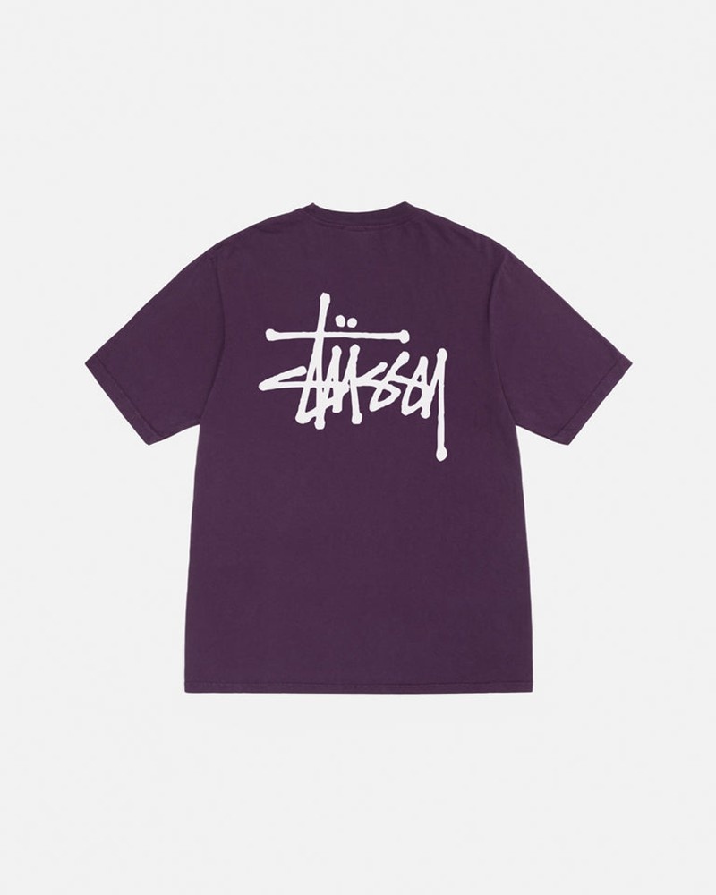 Tops Stussy BASIC PIGMENT DYED Unisex Morados | HRDG-86347