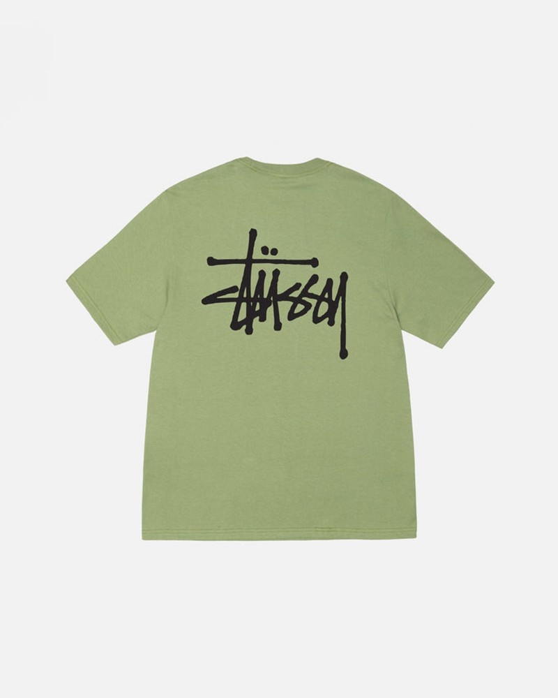 Tops Stussy BASIC STÜSSY Unisex Verdes | HBEA-18029